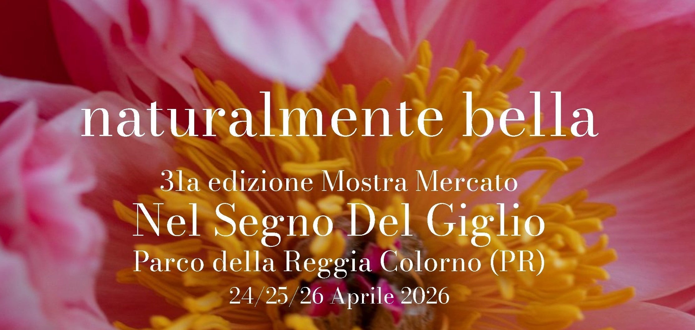 Nel Segno del Giglio (Colorno)